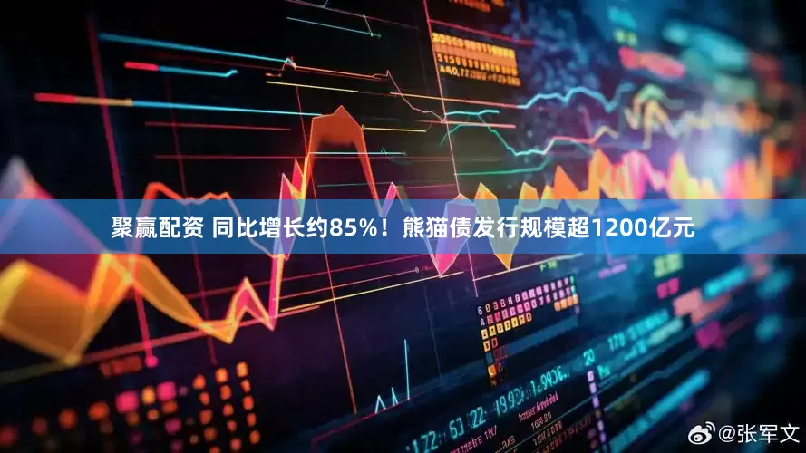 聚赢配资 同比增长约85%！熊猫债发行规模超1200亿元